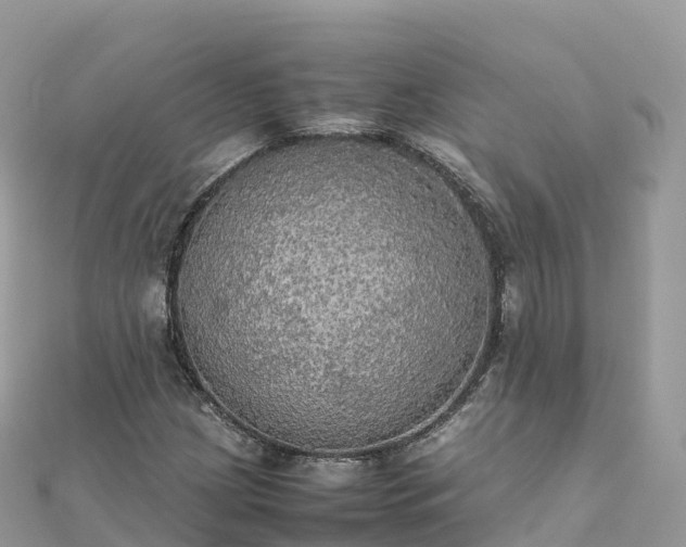 X0000111861209200907301124