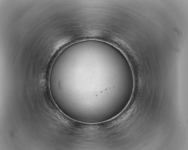 X0000111861210200907301124