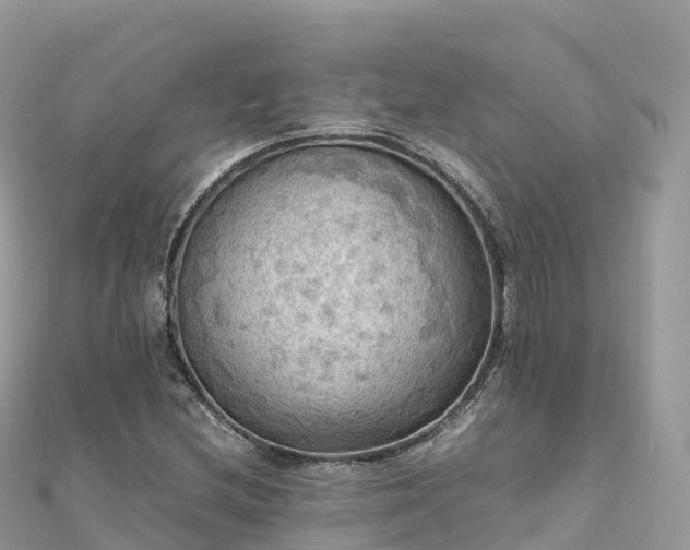 X0000111861212200907301124