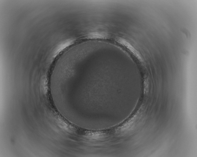 X0000111861213200907301124