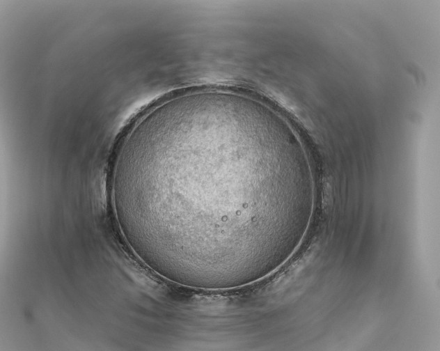 X0000111861214200907301124