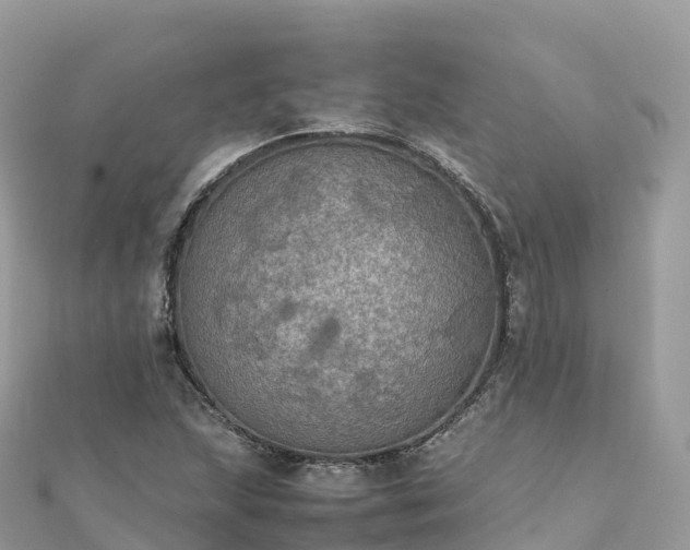 X0000111861215200907301124