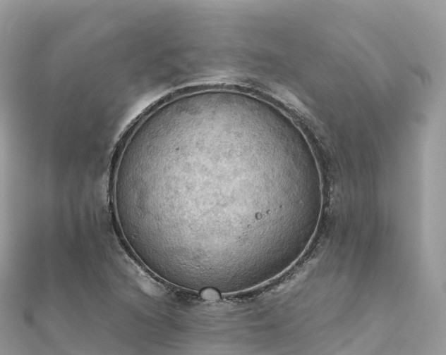 X0000111861216200907301124