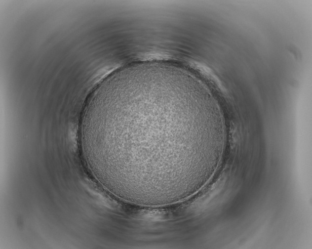 X0000111861217200907301124