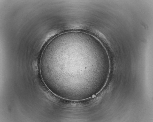 X0000111861218200907301124