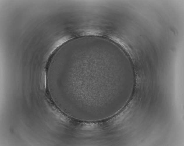 X0000111861219200907301124