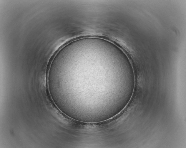 X0000111861220200907301124