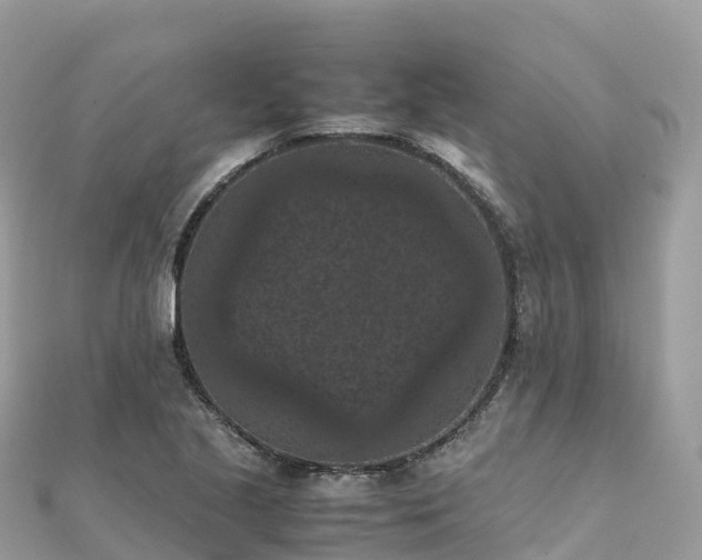 X0000111861221200907301124