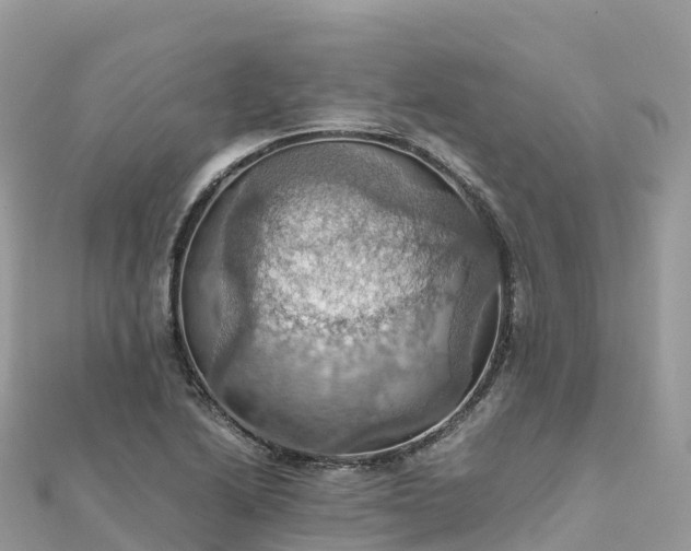 X0000111861222200907301124