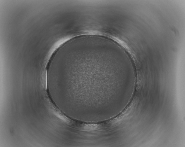 X0000111861223200907301124