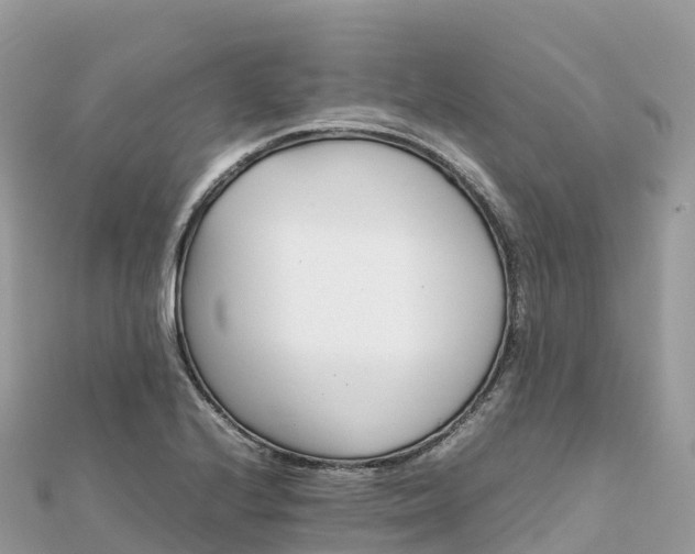 X0000111861224200907301124