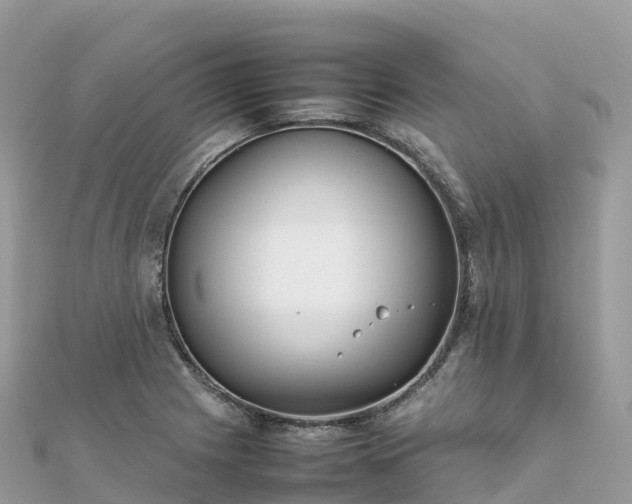 X0000111861225200907301124