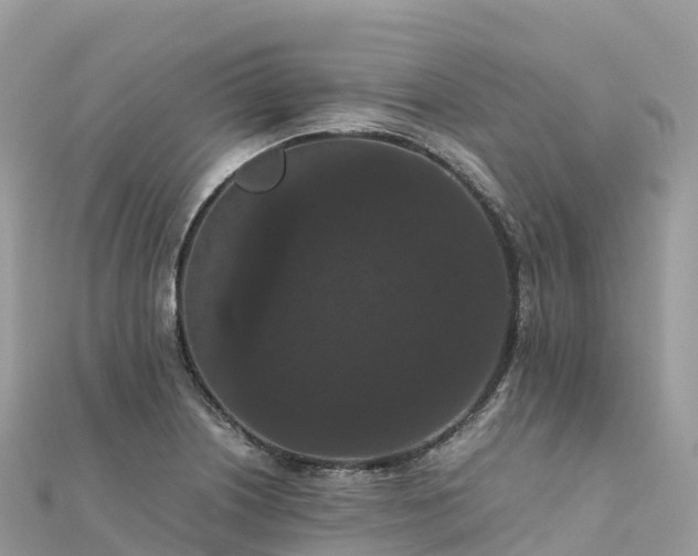 X0000111861226200907301124