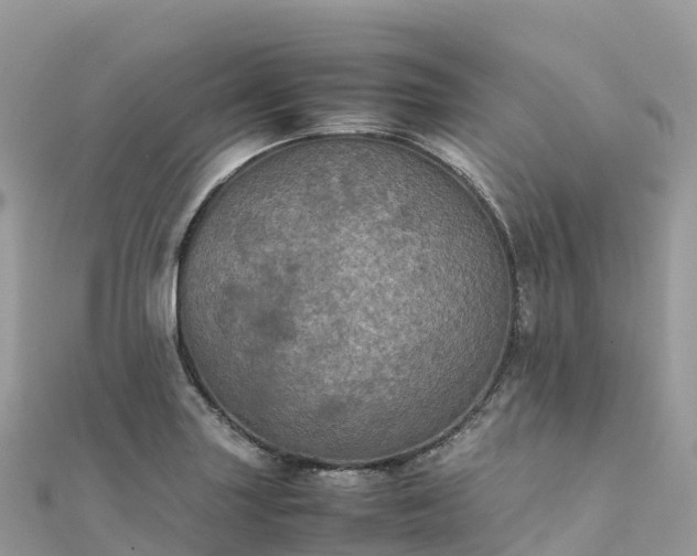 X0000111861227200907301124