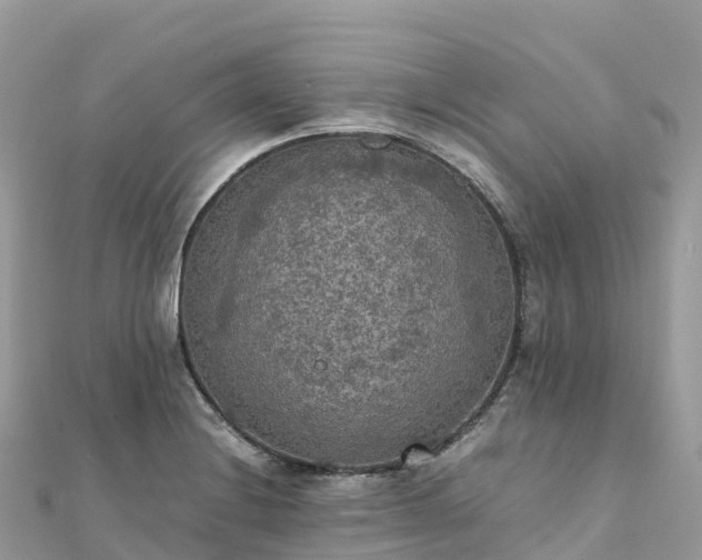 X0000111861228200907301124