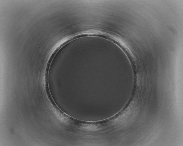 X0000111861229200907301124