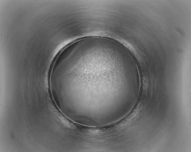 X0000111861230200907301124