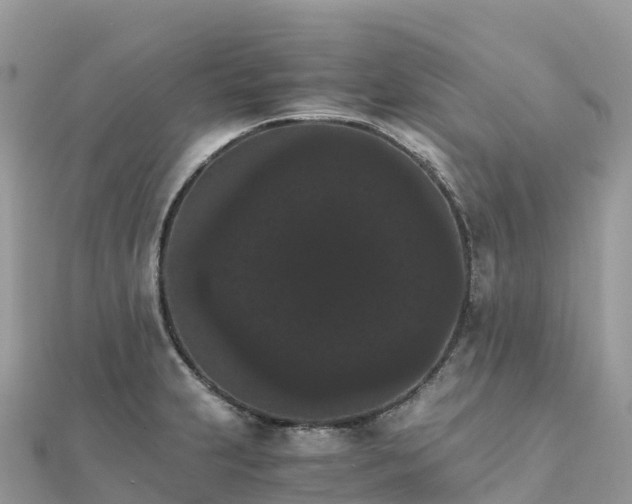 X0000111861231200907301124