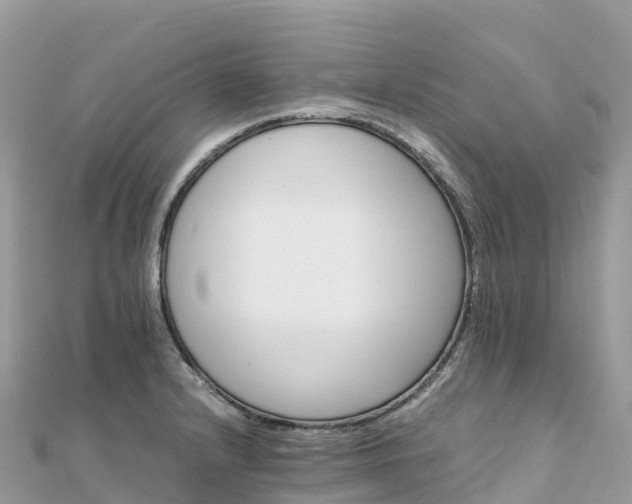 X0000111861232200907301124