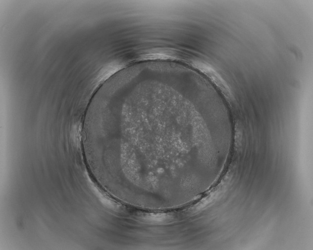 X0000111861233200907301124