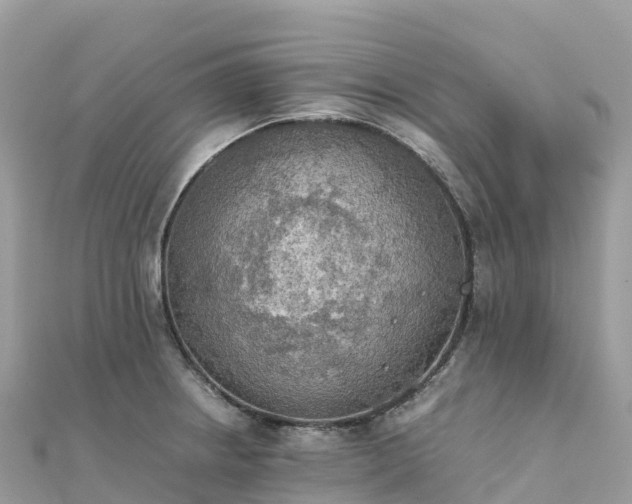 X0000111861234200907301124