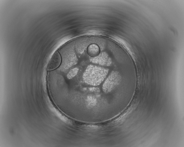 X0000111861235200907301124