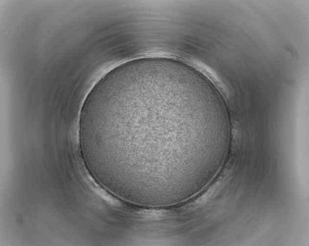 X0000111861236200907301124