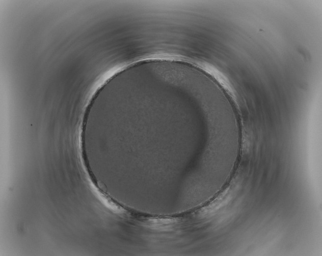 X0000111861237200907301124