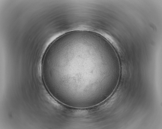 X0000111861238200907301124