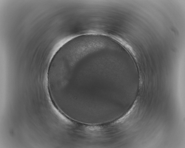 X0000111861239200907301125