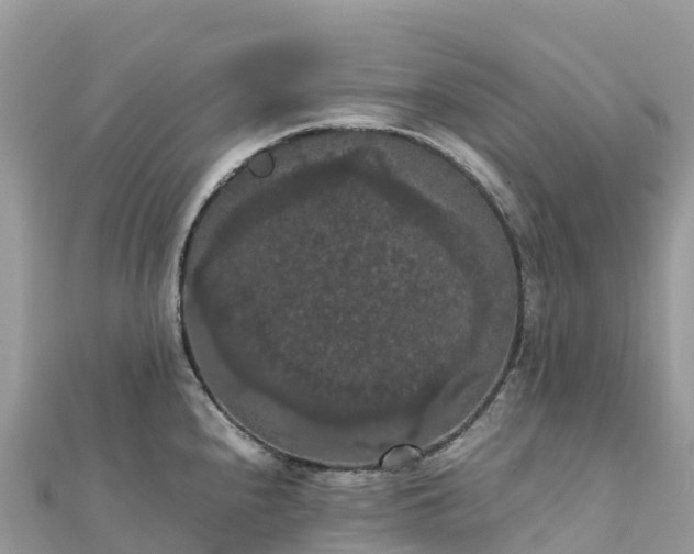 X0000111861240200907301125