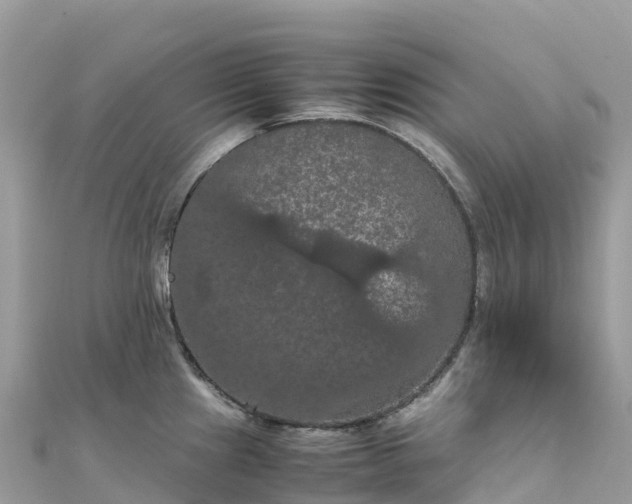 X0000111861241200907301125