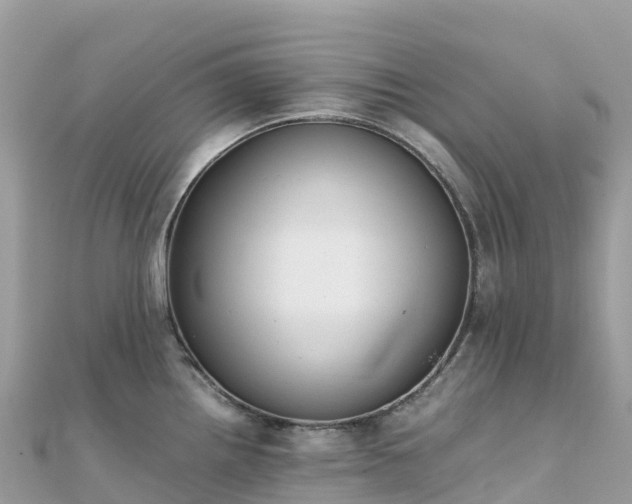 X0000111861242200907301125