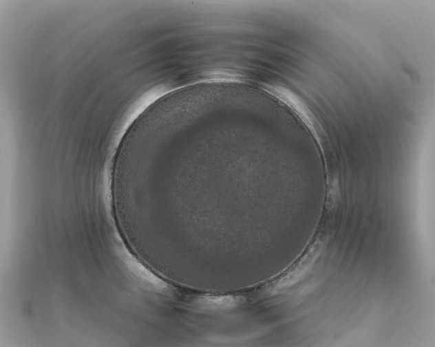 X0000111861243200907301125