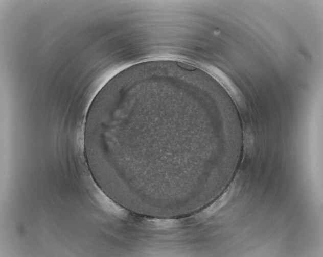 X0000111861244200907301125