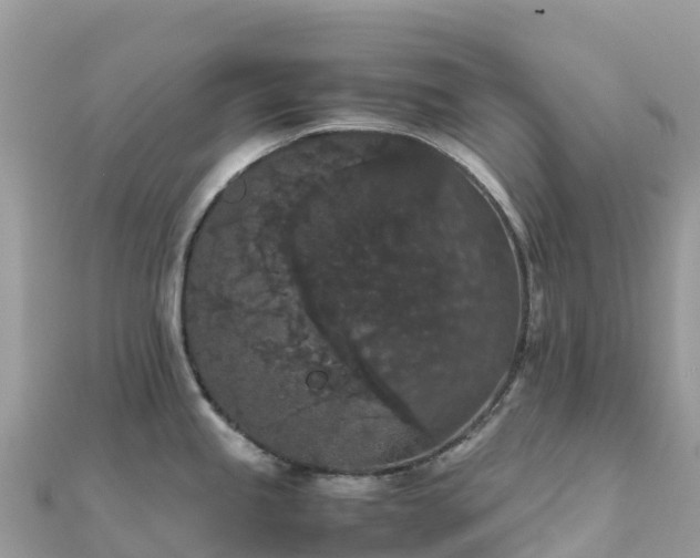 X0000111861245200907301125