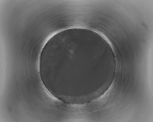 X0000111861246200907301125