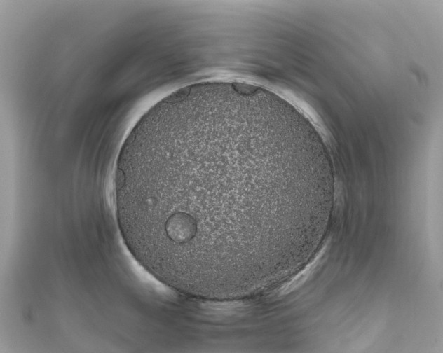 X0000111861247200907301125