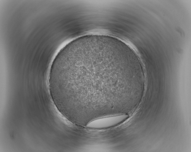 X0000111861248200907301125