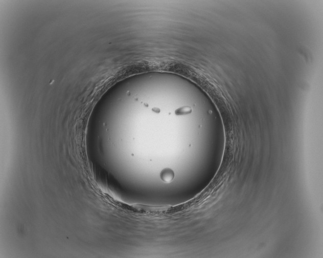 X0000111861249200907301124