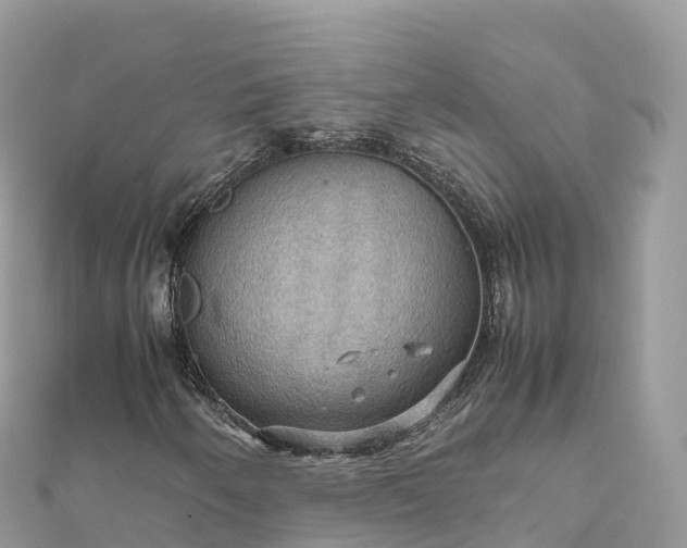 X0000111861250200907301124