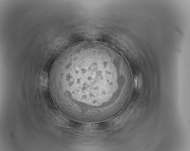 X0000111861251200907301124