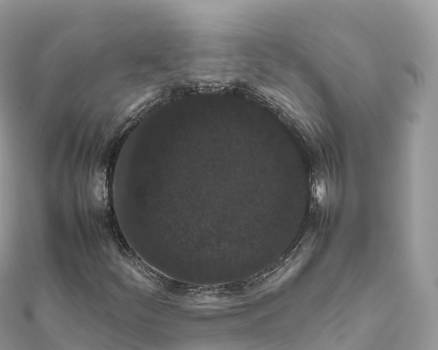 X0000111861252200907301124