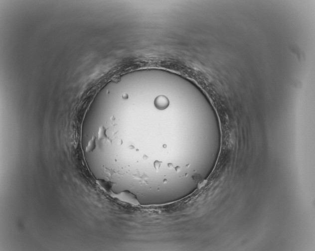 X0000111861253200907301124