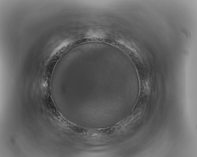 X0000111861254200907301124