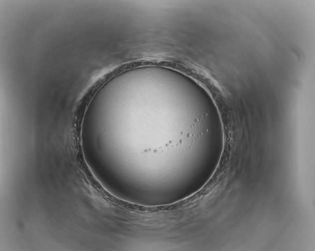 X0000111861256200907301124