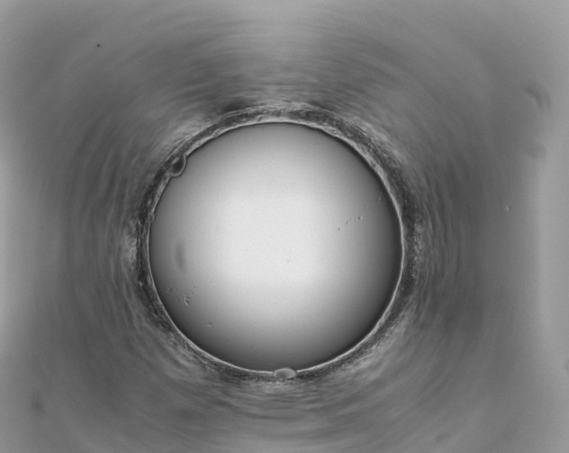 X0000111861257200907301124