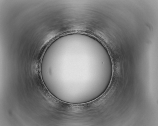 X0000111861258200907301124