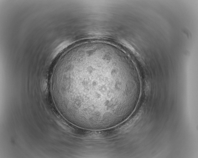 X0000111861259200907301124