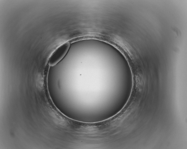 X0000111861260200907301124